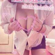 ヒメ日記 2025/08/20 07:58 投稿 ありす 妖精（ようせい）