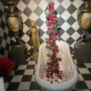 ヒメ日記 2025/09/19 18:16 投稿 ありす 妖精（ようせい）