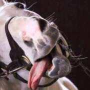 ヒメ日記 2025/06/30 19:31 投稿 れい 妖精（ようせい）