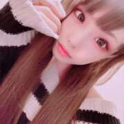 ヒメ日記 2025/09/09 15:15 投稿 れい 妖精（ようせい）