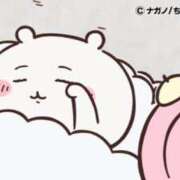 ヒメ日記 2025/09/11 12:17 投稿 れい 妖精（ようせい）