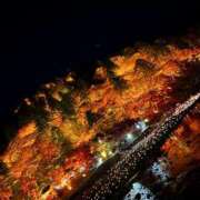 ヒメ日記 2025/11/30 19:45 投稿 れい 妖精（ようせい）