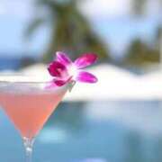 れい れちゃんのお酒自称 妖精（ようせい）