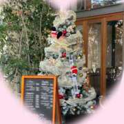 ヒメ日記 2025/12/01 00:00 投稿 ゆうり 妖精（ようせい）