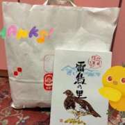 ヒメ日記 2026/04/29 08:52 投稿 ゆうり 妖精（ようせい）