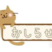 ヒメ日記 2026/07/25 03:05 投稿 ゆうり 妖精（ようせい）