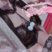 ヒメ日記 2025/09/11 00:30 投稿 みくる 妖精（ようせい）