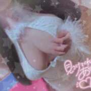 ヒメ日記 2026/04/06 23:05 投稿 みくる 妖精（ようせい）