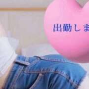 ヒメ日記 2025/12/12 08:43 投稿 ひめか 妖精（ようせい）