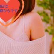 ヒメ日記 2026/01/29 18:47 投稿 ひめか 妖精（ようせい）