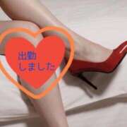 ヒメ日記 2026/02/24 18:05 投稿 ひめか 妖精（ようせい）