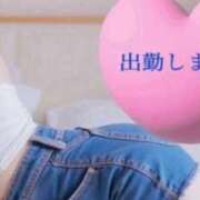 ヒメ日記 2026/02/28 09:35 投稿 ひめか 妖精（ようせい）