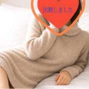 ヒメ日記 2026/03/06 08:35 投稿 ひめか 妖精（ようせい）