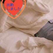 ヒメ日記 2026/03/28 08:15 投稿 ひめか 妖精（ようせい）