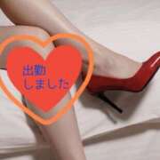 ヒメ日記 2026/03/29 08:22 投稿 ひめか 妖精（ようせい）