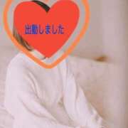 ヒメ日記 2026/04/08 09:04 投稿 ひめか 妖精（ようせい）