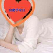 ヒメ日記 2026/04/15 10:35 投稿 ひめか 妖精（ようせい）