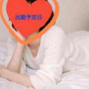 ヒメ日記 2026/04/27 09:50 投稿 ひめか 妖精（ようせい）