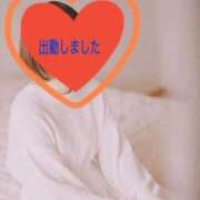 ヒメ日記 2026/05/12 09:05 投稿 ひめか 妖精（ようせい）