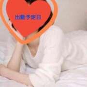 ひめか 出勤予定日 妖精（ようせい）