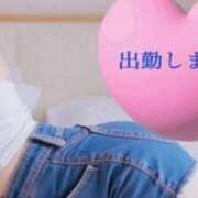 ヒメ日記 2026/05/23 08:35 投稿 ひめか 妖精（ようせい）