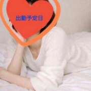 ヒメ日記 2026/06/24 20:13 投稿 ひめか 妖精（ようせい）