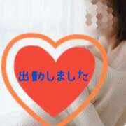 ヒメ日記 2026/07/23 09:05 投稿 ひめか 妖精（ようせい）