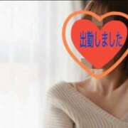 ひめか ♡ 妖精（ようせい）