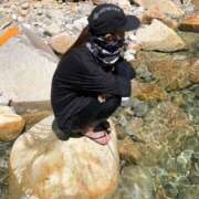 ヒメ日記 2025/06/18 12:58 投稿 なお 妖精（ようせい）