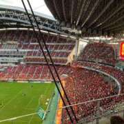 ヒメ日記 2025/06/21 21:37 投稿 なお 妖精（ようせい）