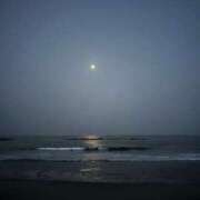 ヒメ日記 2025/07/08 21:13 投稿 なお 妖精（ようせい）