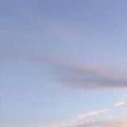 ヒメ日記 2025/07/10 20:04 投稿 なお 妖精（ようせい）