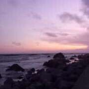 ヒメ日記 2025/07/21 21:46 投稿 なお 妖精（ようせい）