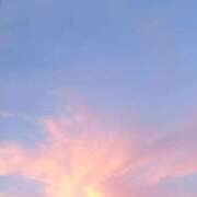 ヒメ日記 2025/07/27 21:23 投稿 なお 妖精（ようせい）