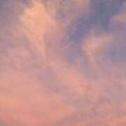 ヒメ日記 2025/07/28 19:40 投稿 なお 妖精（ようせい）