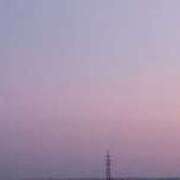 ヒメ日記 2025/07/30 19:38 投稿 なお 妖精（ようせい）