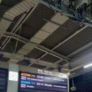 ヒメ日記 2025/08/09 22:12 投稿 なお 妖精（ようせい）