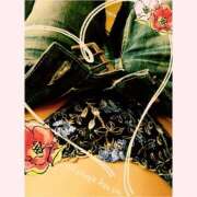 ヒメ日記 2025/08/14 18:25 投稿 なお 妖精（ようせい）