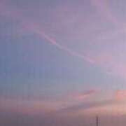 ヒメ日記 2025/08/15 21:51 投稿 なお 妖精（ようせい）