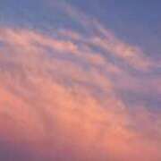 ヒメ日記 2025/08/16 19:12 投稿 なお 妖精（ようせい）