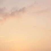 ヒメ日記 2025/08/26 06:10 投稿 なお 妖精（ようせい）