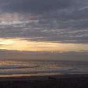 ヒメ日記 2025/08/31 18:22 投稿 なお 妖精（ようせい）