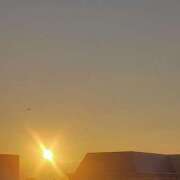 ヒメ日記 2025/09/01 05:55 投稿 なお 妖精（ようせい）