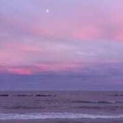 ヒメ日記 2025/09/03 18:25 投稿 なお 妖精（ようせい）