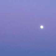 ヒメ日記 2025/09/06 18:52 投稿 なお 妖精（ようせい）