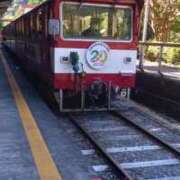 ヒメ日記 2025/09/08 15:59 投稿 なお 妖精（ようせい）