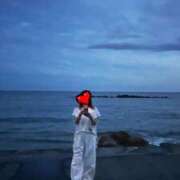 ヒメ日記 2025/09/14 11:04 投稿 なお 妖精（ようせい）