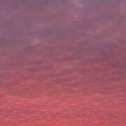 ヒメ日記 2025/09/23 05:56 投稿 なお 妖精（ようせい）