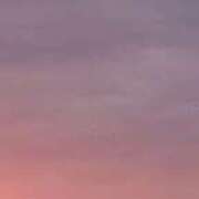 ヒメ日記 2025/09/25 05:46 投稿 なお 妖精（ようせい）