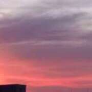 ヒメ日記 2025/10/02 05:53 投稿 なお 妖精（ようせい）